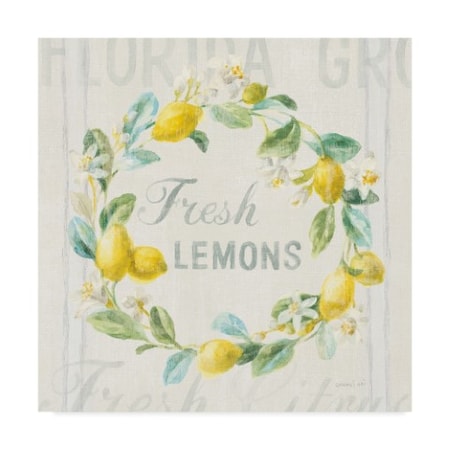 Danhui Nai 'Floursack Lemon V' Canvas Art,14x14